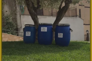 Smaltimento oli vegetali esausti nelle Marche